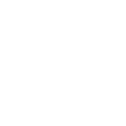 shape